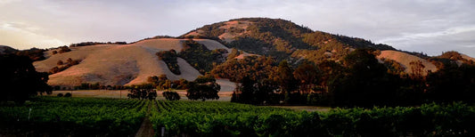 Spell Estate Wines from Frostwatch Vineyard