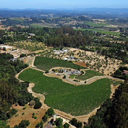 Spell Estate Wines from Umino Vineyard
