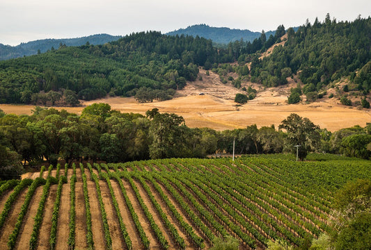 Spell Estate Wines from Weir Vineyard